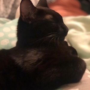 Meet your Posher, Mariam